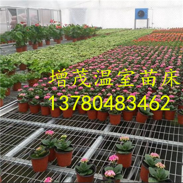 溫室<a href='/' target='_blank'><a href='http://www.aibotu.cn/miaochuangsheshi/203.html'target='_blank'>花架網(wǎng)</a></a>廠家